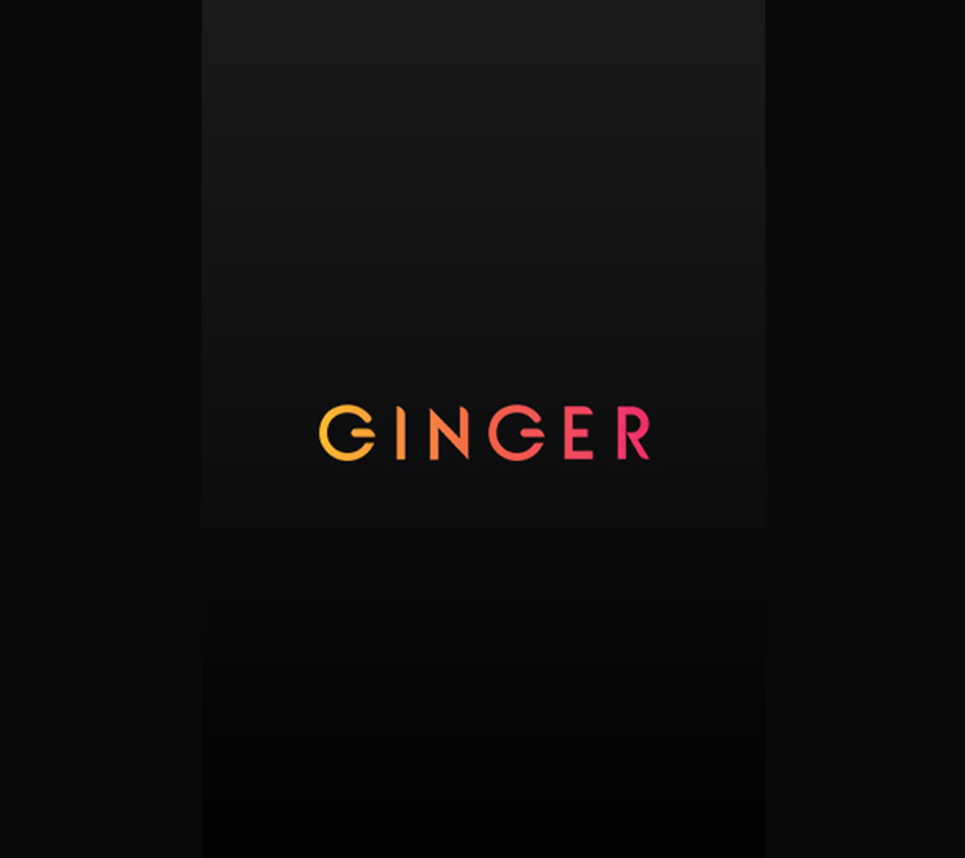 Ginger-WorkFlow